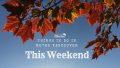 Things To Do In Vancouver This Weekend Nov Vancouver Blog