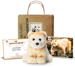 WWF Wildlife Adoption Kit Giveaway » Vancouver Blog Miss604