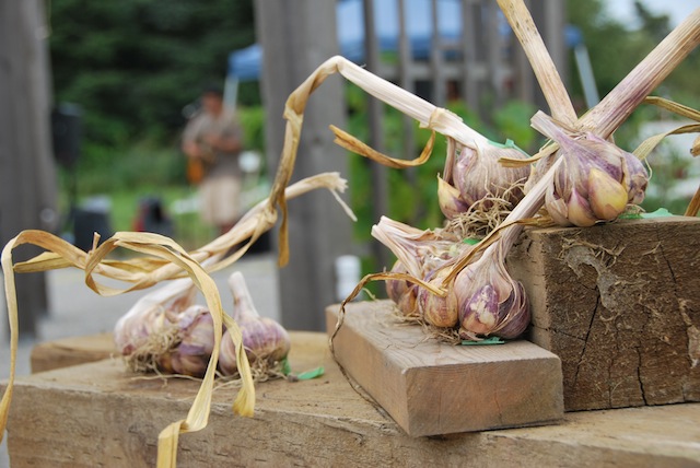 Sharing Farm Garlic Festival Richmond