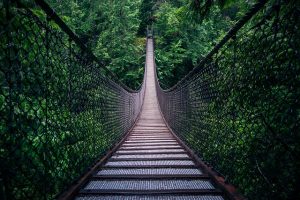 Lynn Canyon Bridge by Sharkhats on Flickr