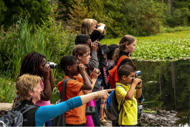 Campers birdwatch at Beaver Lake. Photo by Anthony Ho.