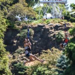 Queen Elizabeth Park Zipline 2015 - Photo by Rebecca Blissett for the Courier