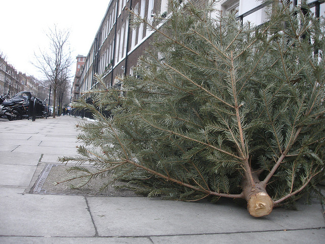 Where to Recycle Your Christmas Tree