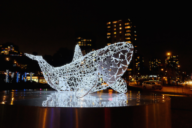 Luna Whale Lumière Vancouver