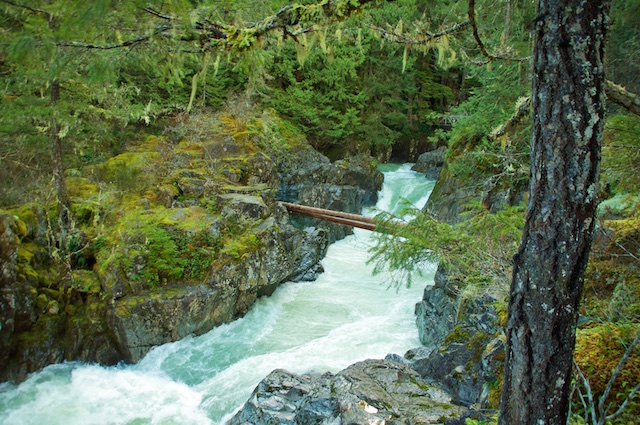 Little Qualicum Falls