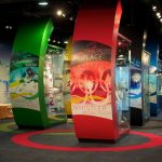 BC Sports Hall of Fame Vancouver 2010 Miss604