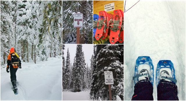 Manning Park Snowshoe