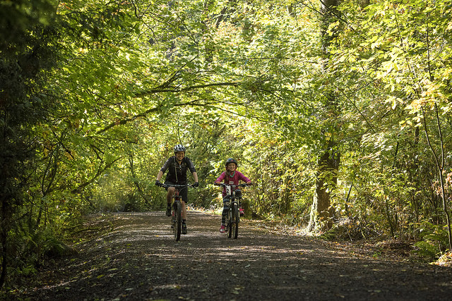 Mundy Bike Park