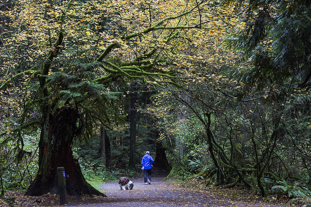 Mundy Dog Park. Photo by Michael Lee