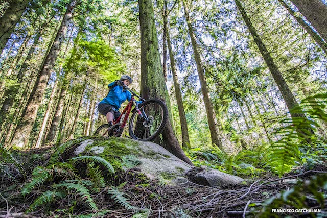 Full Pull Mountain Biking Trail - Coquitlam, BC