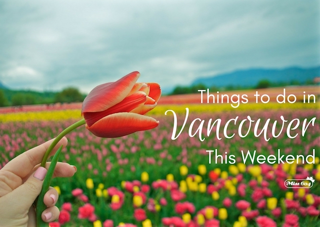 Things to do in Vancouver - April Tulips