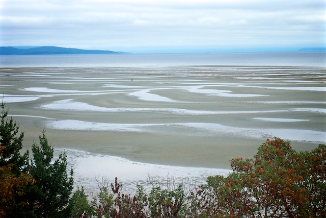 The beach in Parksville at Tigh-Na-Mara