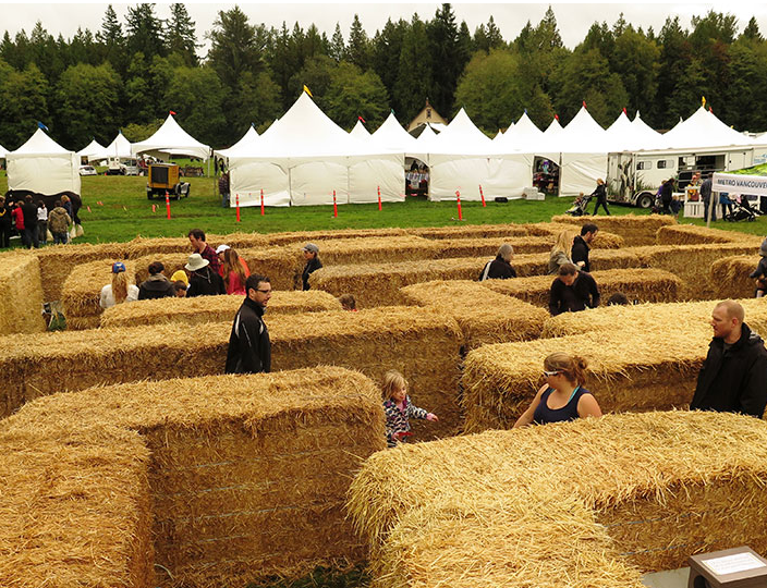 Campbell Valley Country Celebration