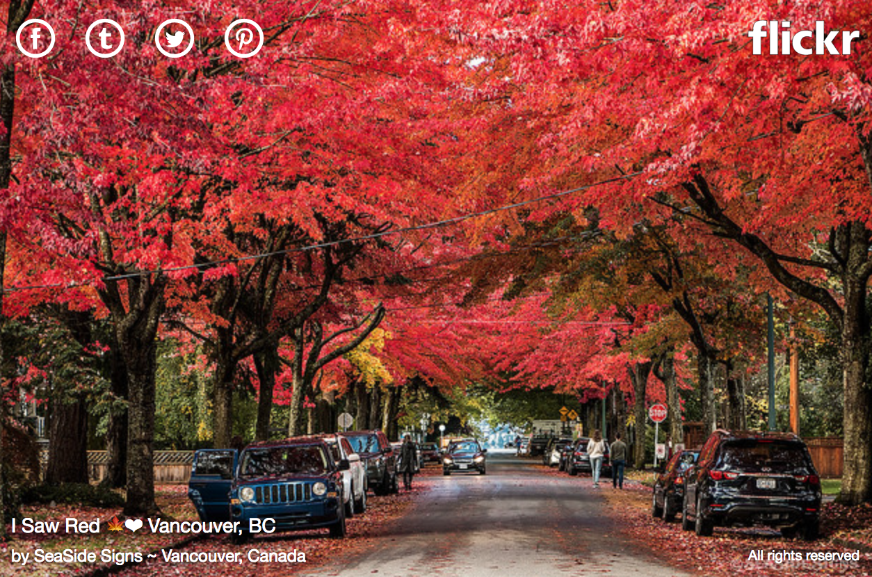 Vancouver Photos of the Week Fall Inspiration » Vancouver Blog Miss604