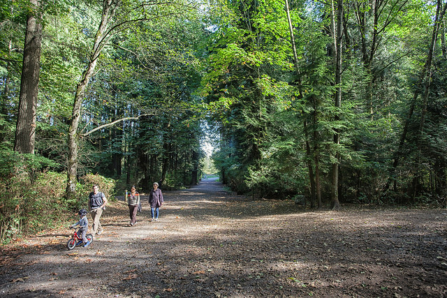 Mundy Park - City of Coquitlam Photo