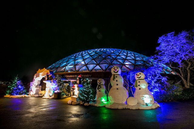 Holiday Heights at Bloedel Conservatory - Arctic Oasis