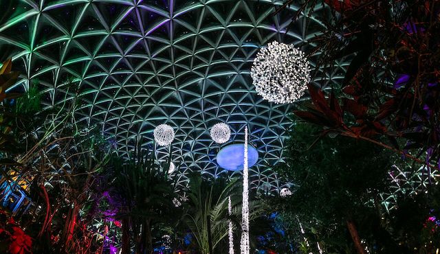 Holiday Heights at Bloedel Conservatory - Arctic Oasis