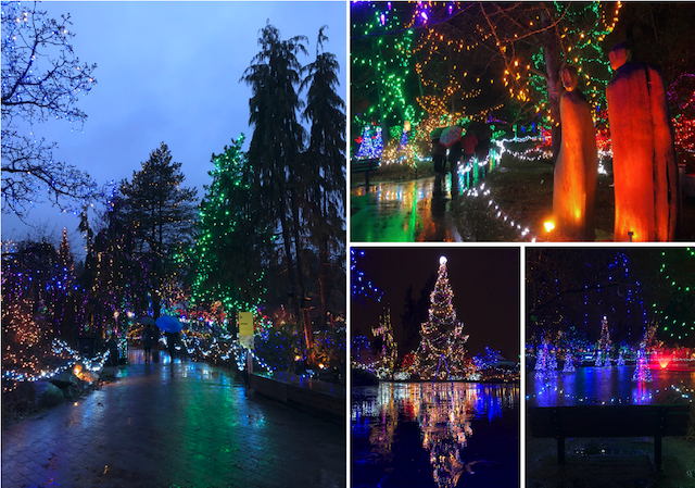 VanDusen Festival of Lights 2017-2018