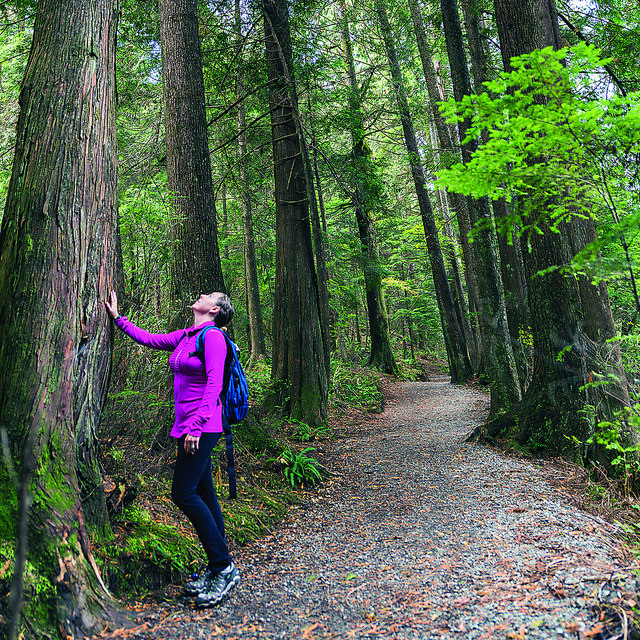 Coquitlam_MinnekhadaPark