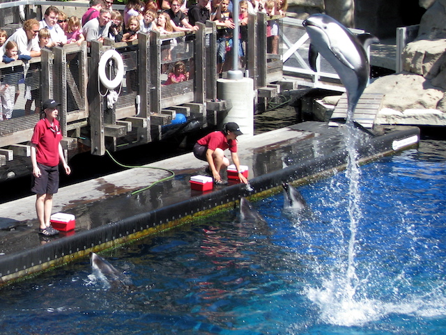 New Era at Vancouver Aquarium with No Whales or Dolphins