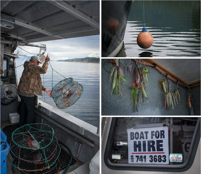 PrawnFishing Sunshine Coast