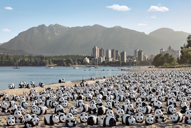 1600 Pandas