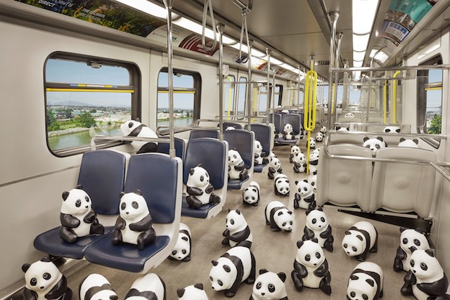 1600 Pandas