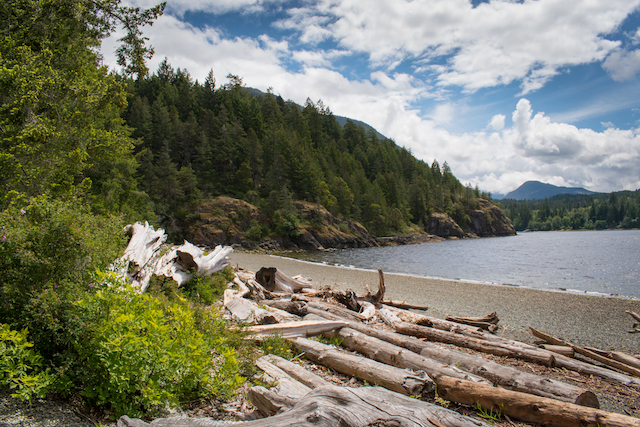 China Creek Campground