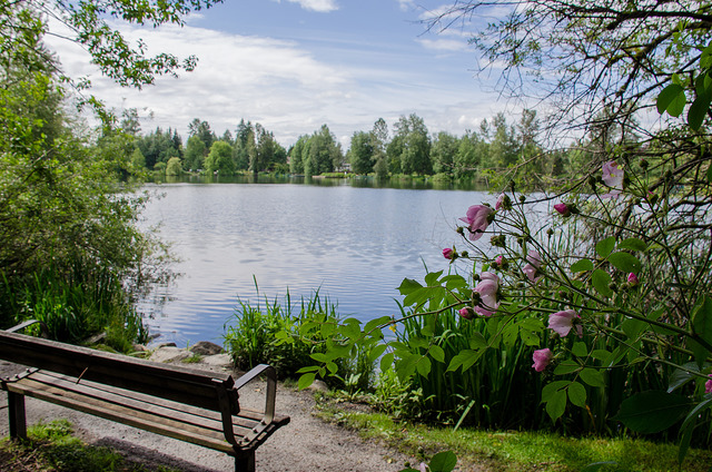 Coquitlam Town Centre Park