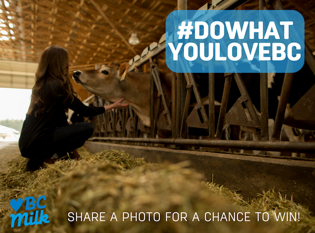 BC Dairy Association #DoWhatYouLoveBC