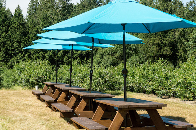 RussLynn Picnic Umbrellas