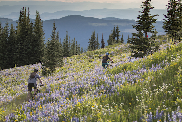 Sun Peaks Alpine