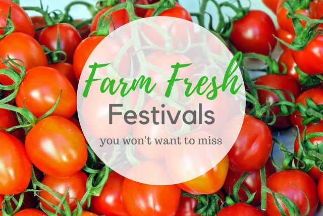 Fresh Farm Festivals You Won't Want to Miss