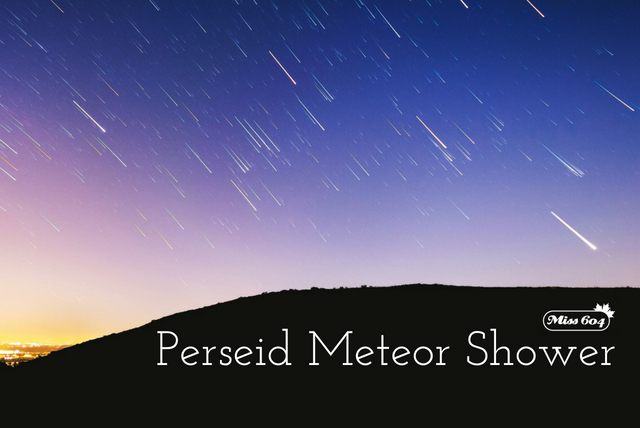 Perseid Meteor Shower