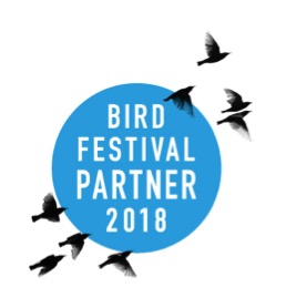 bird festival