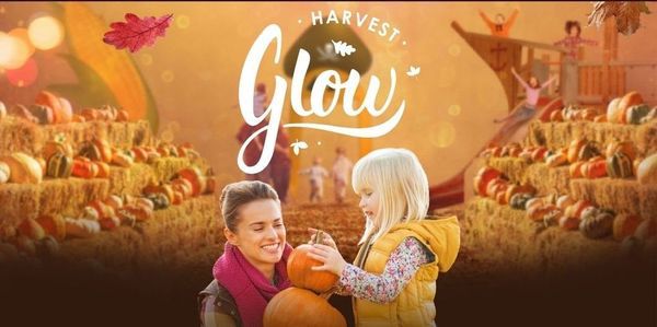 Harvest Glow in Langley