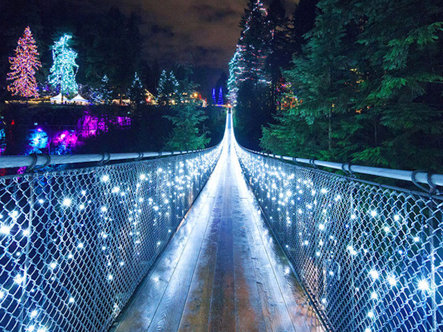 Canyon Lights Capilano Suspension-Bridge Park