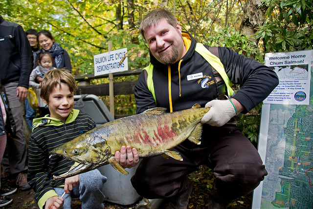 Coquitlam Salmon