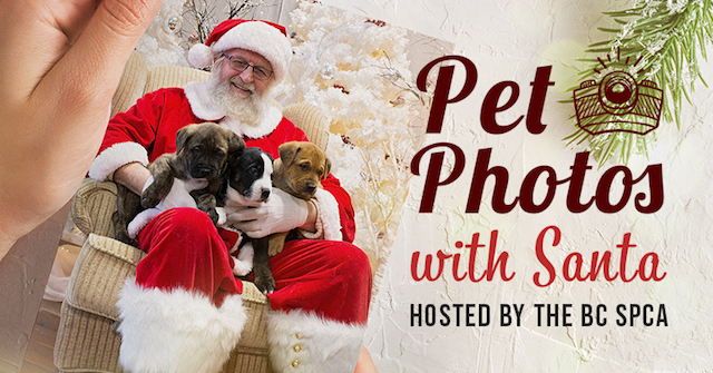 Pet Photos with Santa Hosted by the BC SPCA