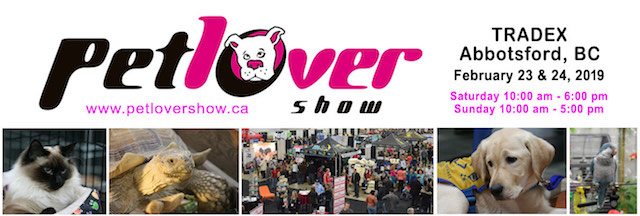 Pet Lover Show