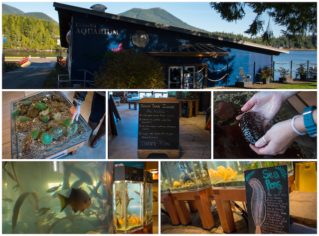 Ucluelet Aquarium