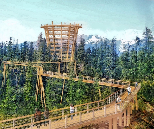 Elevated Tree Walk Proposed for Sea to Sky Gondola