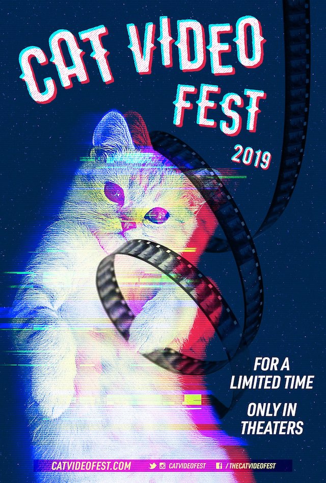 CatVideoFest