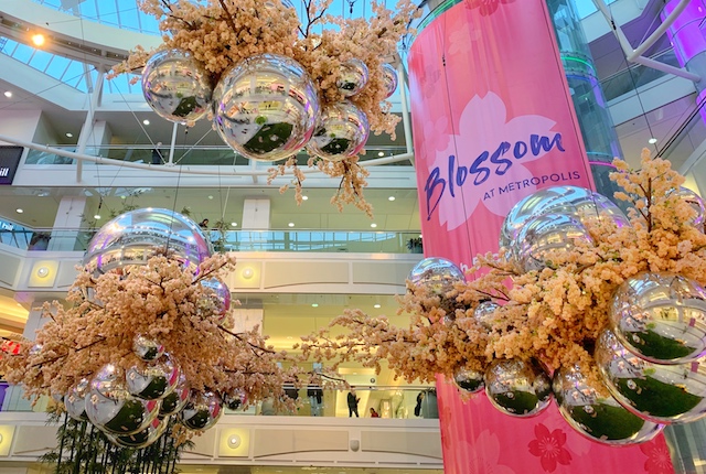 Blossom at Metropolis  - Photo by Alexis Miles