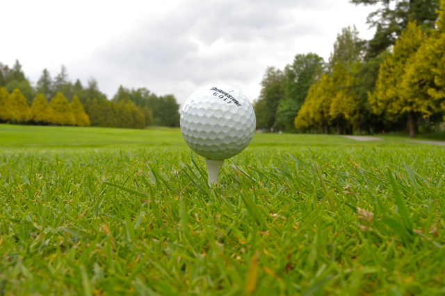 Vancouver Parks Golf - Fraserview - Miss604 Photo