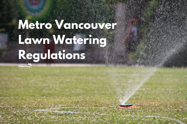 Metro Vancouver Lawn Watering Regulations