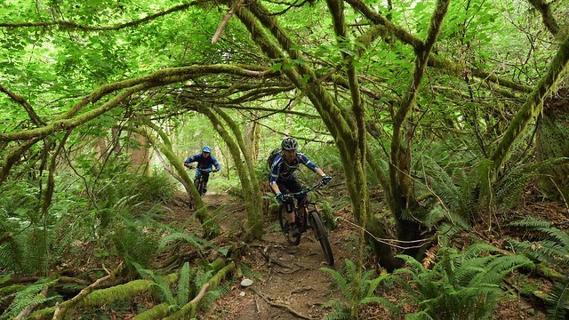 Mountain Biking Coquitlam