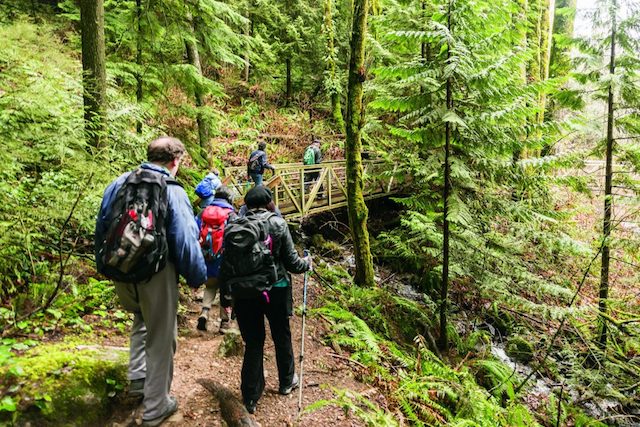 Ridge Park Hiking - Coquitlam