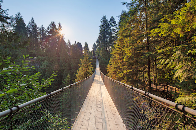 Capilano Suspension Bridge Park