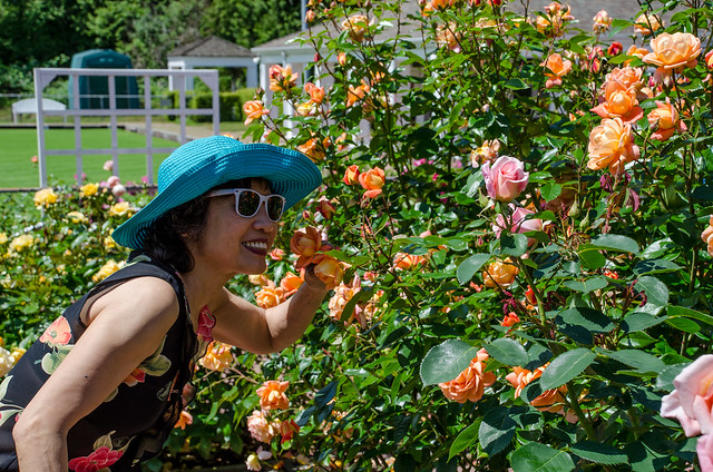 Coquitlam Centennial Rose Garden